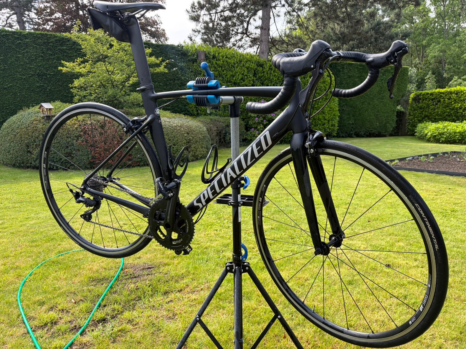 Specialized Allez, Fietsen en Brommers, Fietsen | Racefietsen, Gebruikt, Aluminium, Overige maten, 53 tot 57 cm