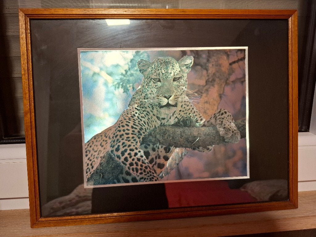 Cadre avec léopard métallisé, 42 cm, 32 cm, Avec image, Utilisé