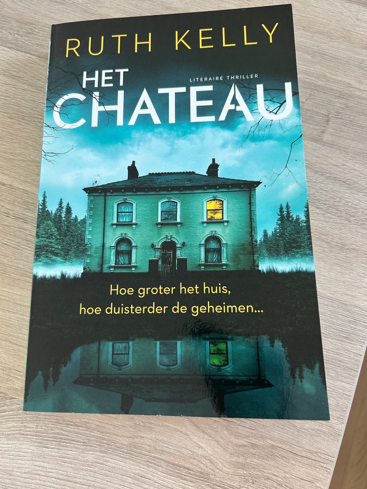 Het Chateau : Ruth Kelly Nieuw, Boeken, Thrillers, Ophalen, Nieuw, België