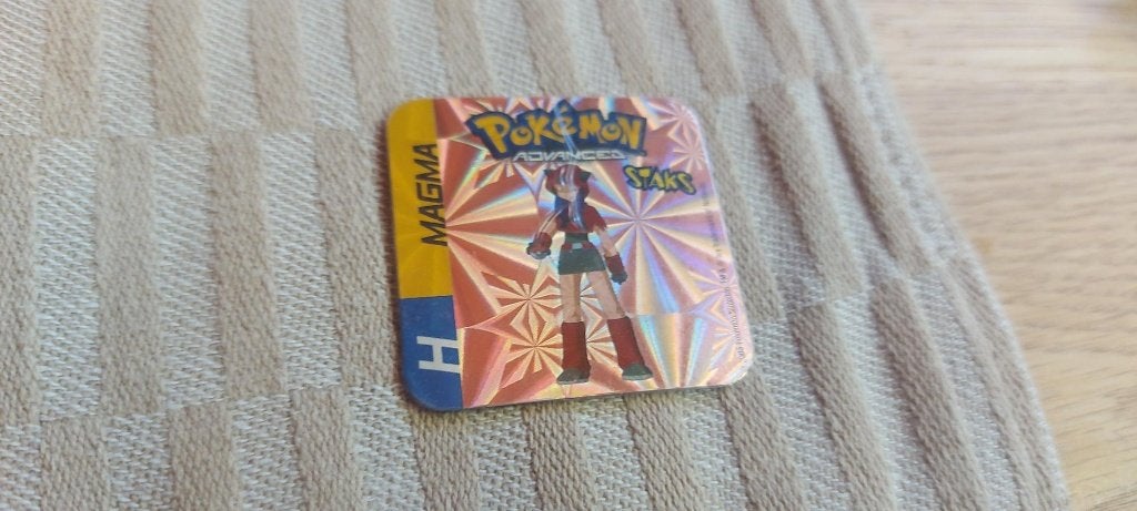 magneet speelgoed pokemon panini Team Magma holo 2003, Verzamelen, Ophalen of Verzenden, Nieuw