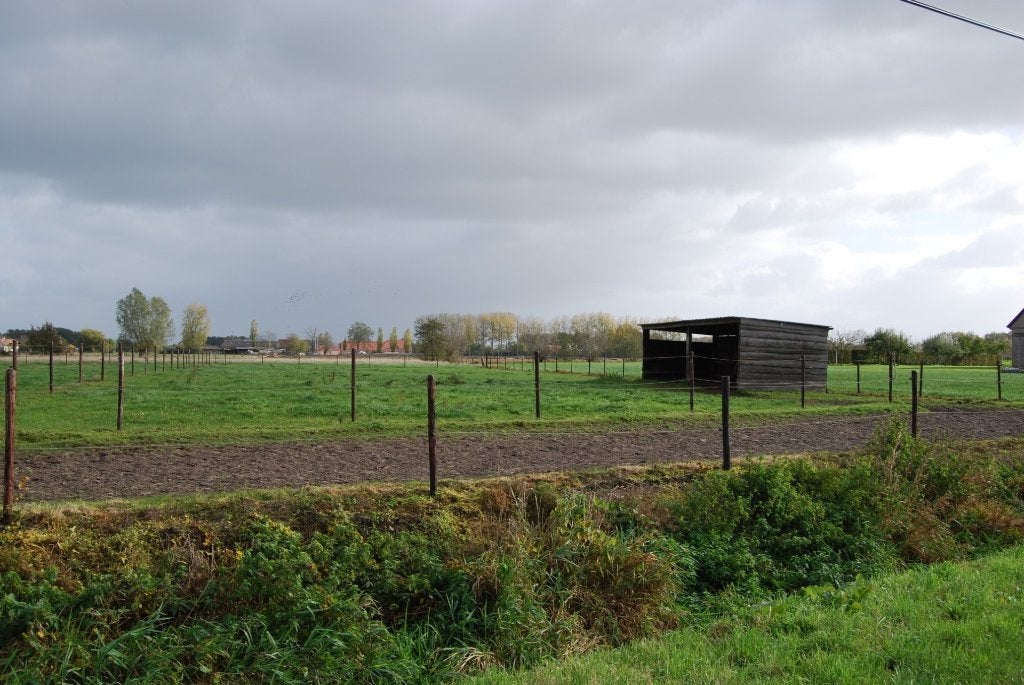 Paarden weideplaats 9270 Kalken, Stalling