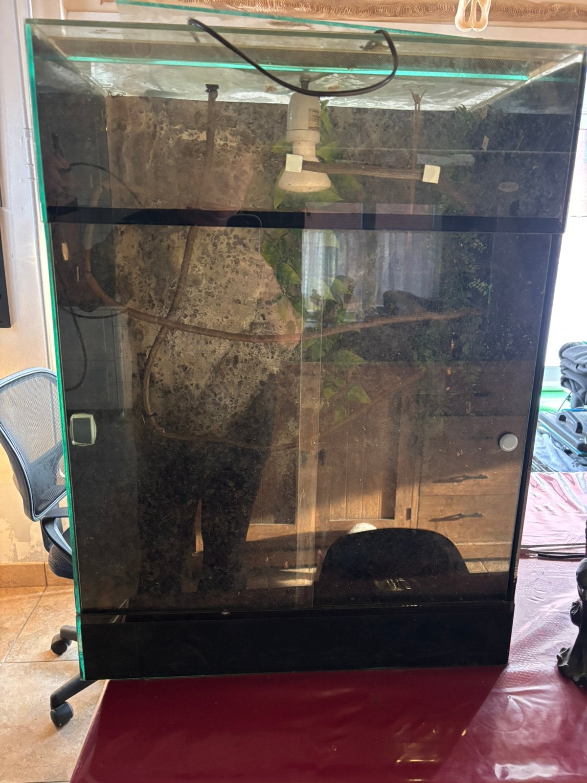 Terrarium h80xb60xd40, Dieren en Toebehoren, Ophalen, Gebruikt