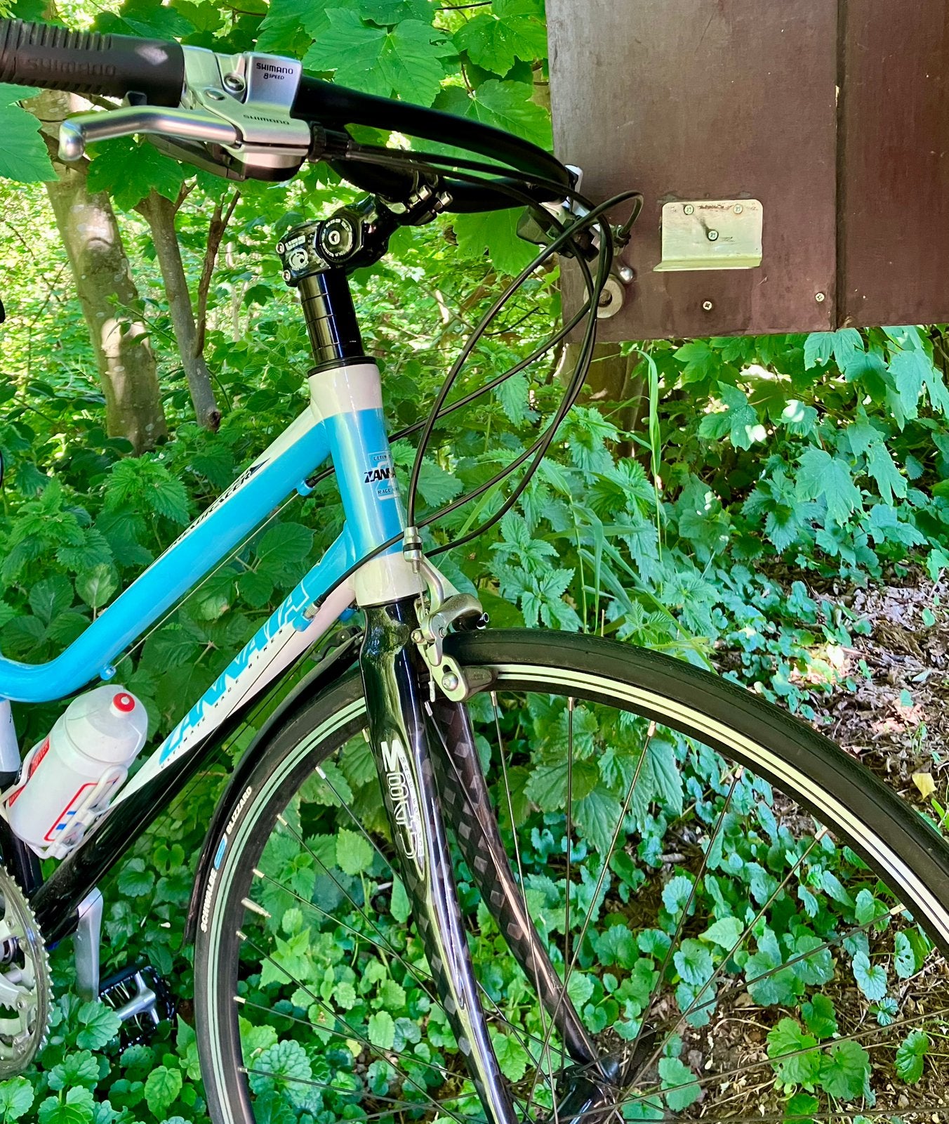 Zannata sportive, Enlèvement