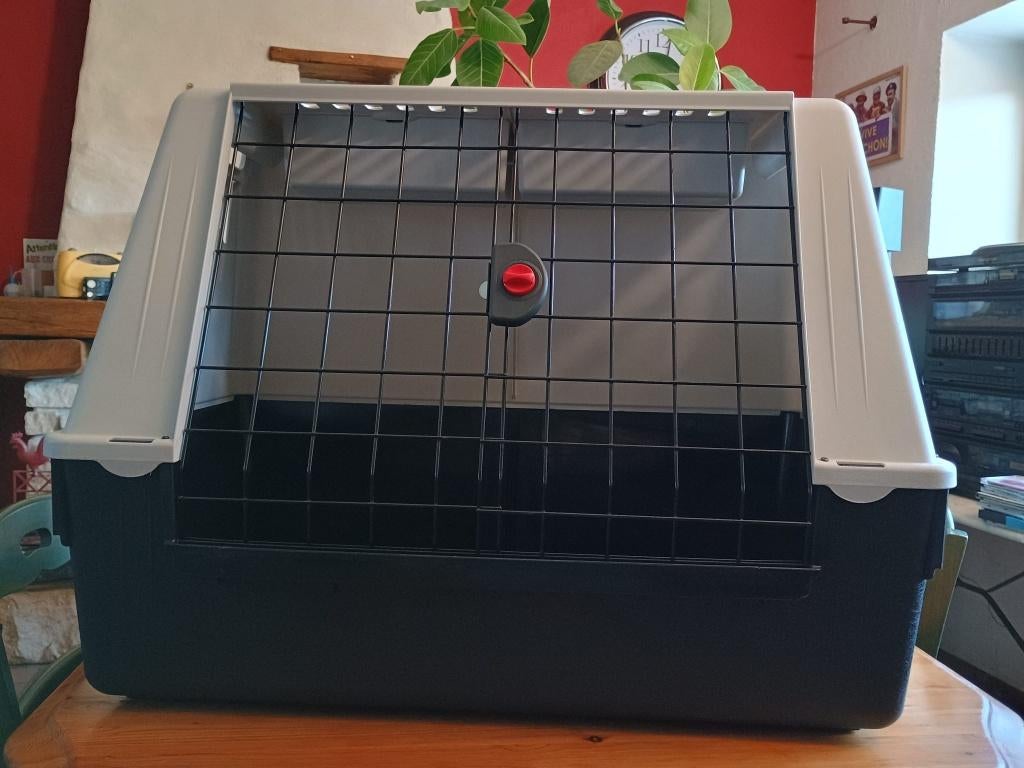 Cage de transport, Dieren en Toebehoren, Ophalen, Zo goed als nieuw