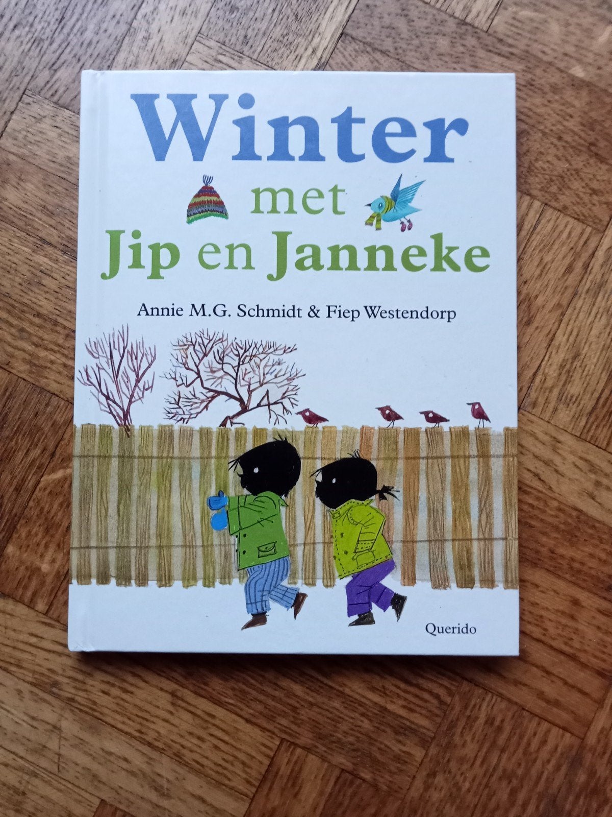 Winter met Jip en Janneke, Ophalen of Verzenden, Gelezen