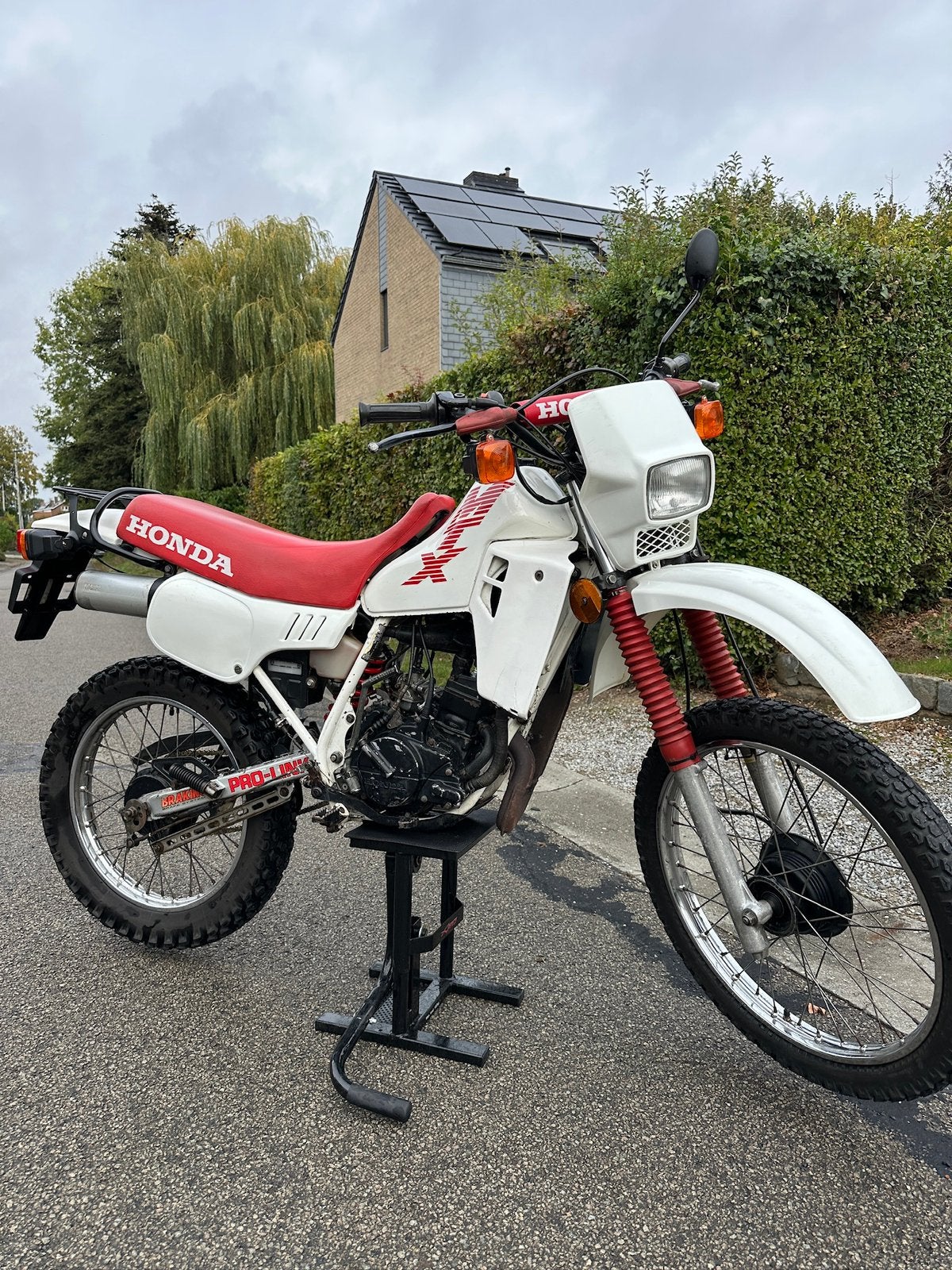 Honda Mtx 50, 5 vitesses, MTX, 49 cm³, Classe B (45 km/h)