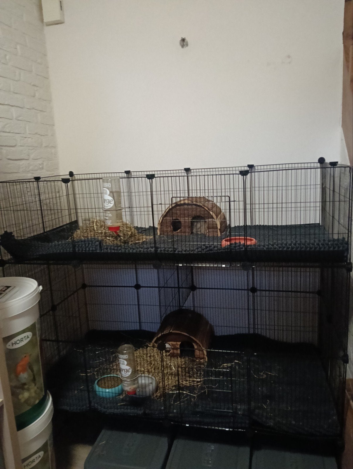 C&C draadkubuspanelen en toebehoren, Kooi, Konijn, Ophalen, Minder dan 60 cm