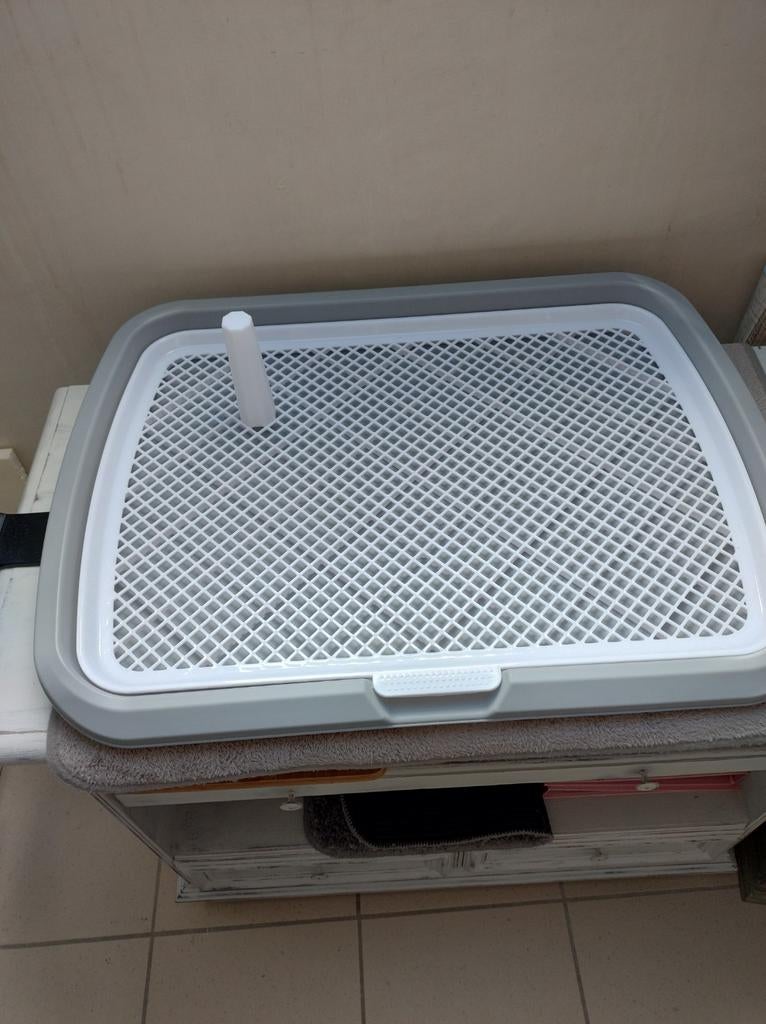 Honden toilet 40x60, Dieren en Toebehoren, Honden-accessoires, Ophalen