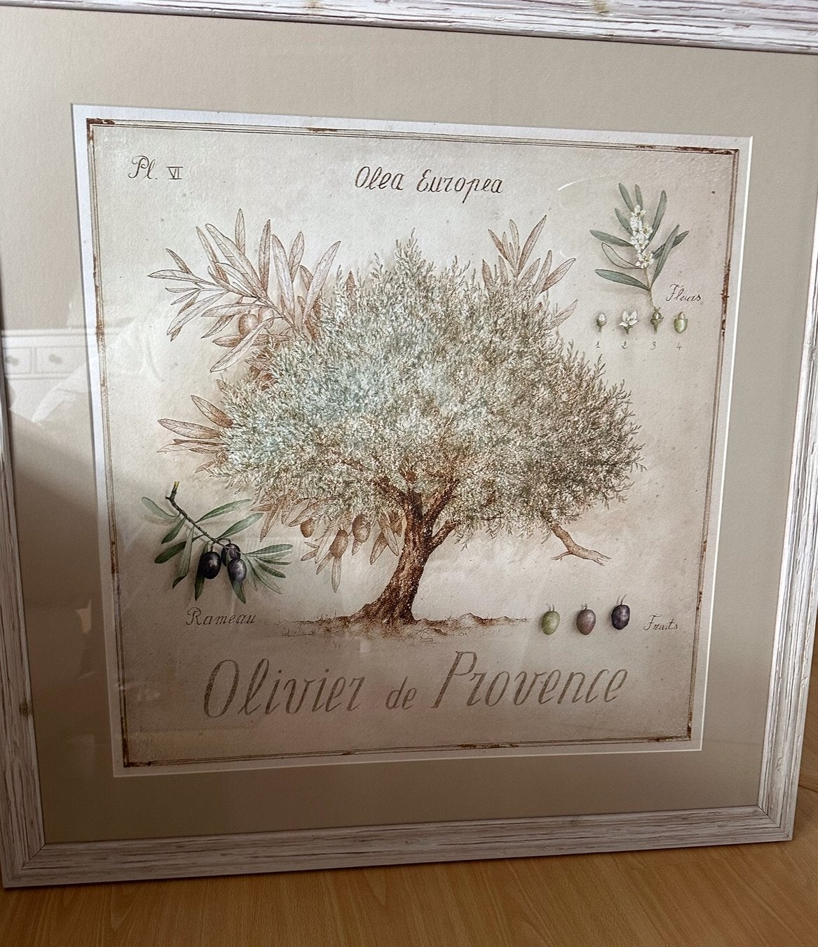 Mooie vierkante kader met olijfboom (afm. 88cm x 88cm), Ophalen, Zo goed als nieuw