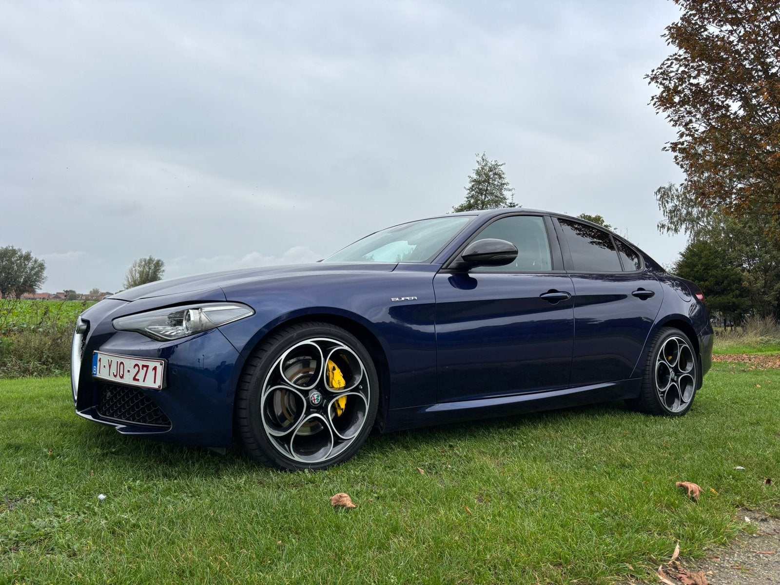 Alfa Romeo Giulia 2.0 Turbo, Auto's, Automaat, 4 deurs, Achterwielaandrijving, Blauw