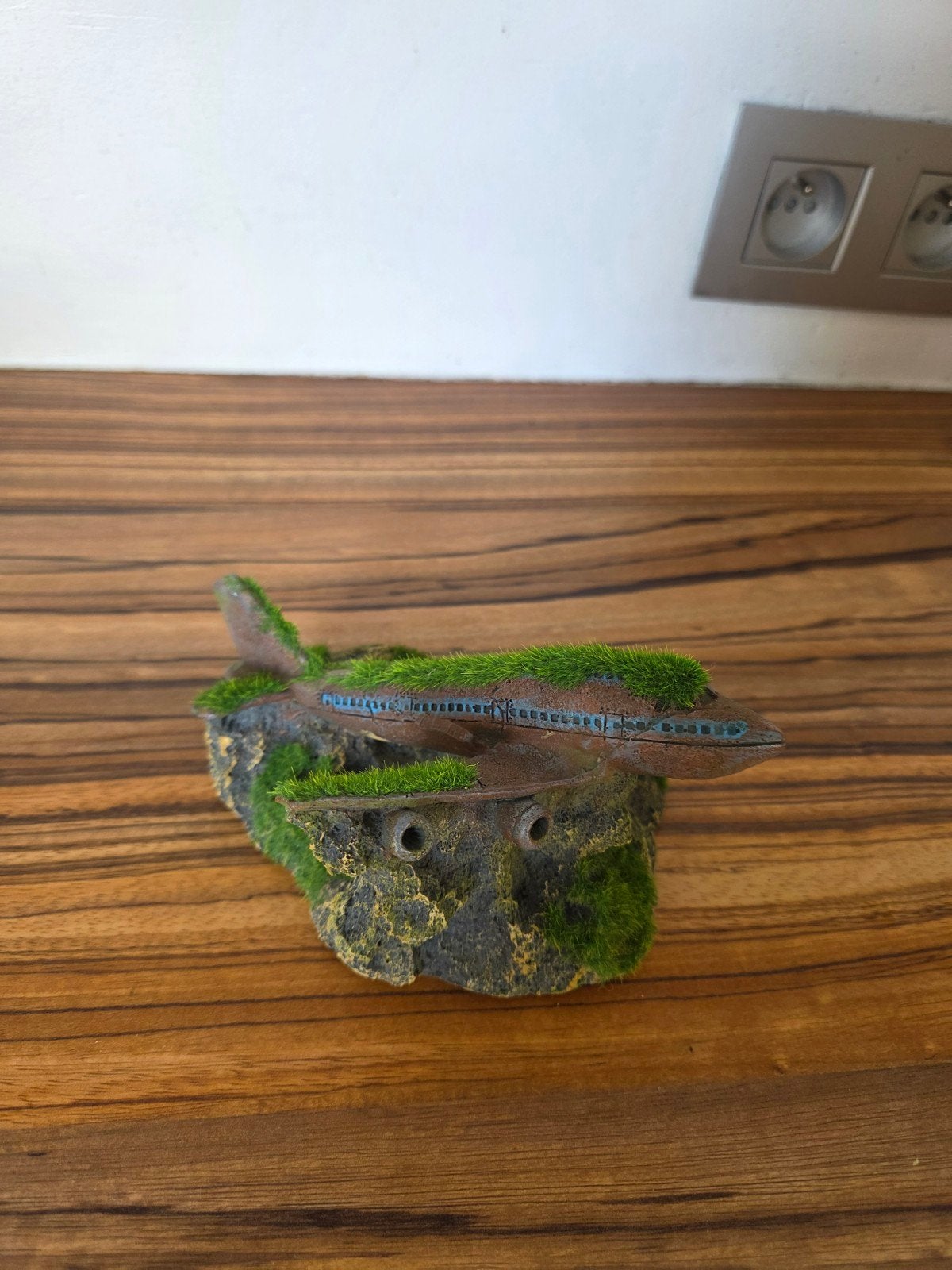beeld voor in het aquarium, Enlèvement