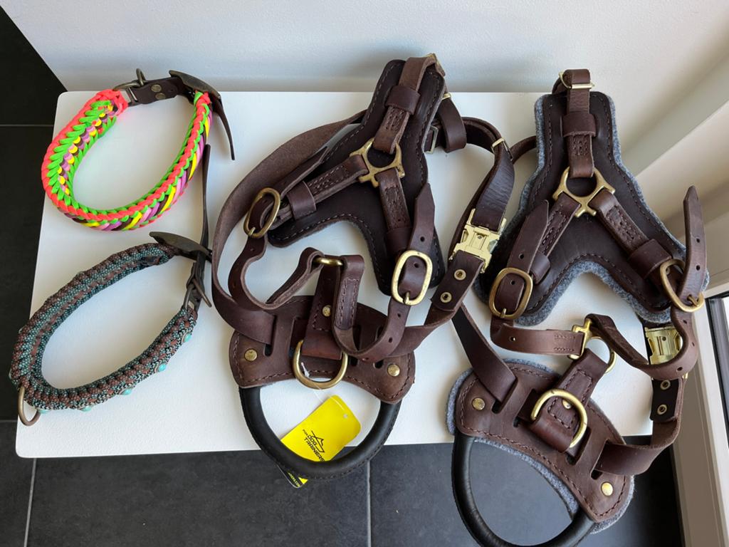 Ensemble de colliers et harnais d'entraînement en cuir, Animaux & Accessoires, Enlèvement ou Envoi, Comme neuf