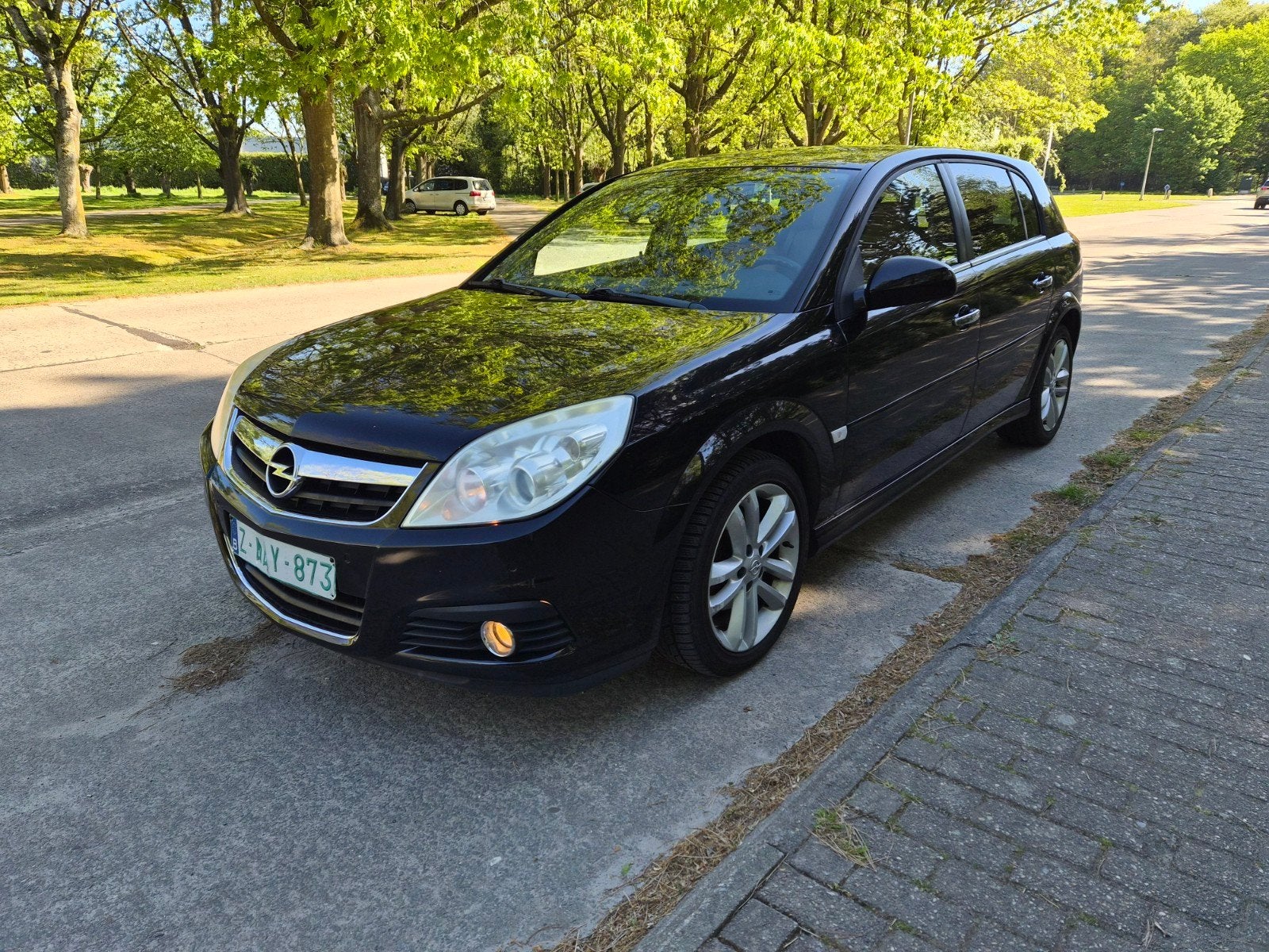 Opel Signum 1.9CDTI AUTOMAAT FULL OPTIES, Auto's, Automaat, Bedrijf, 5 deurs, Euro 4