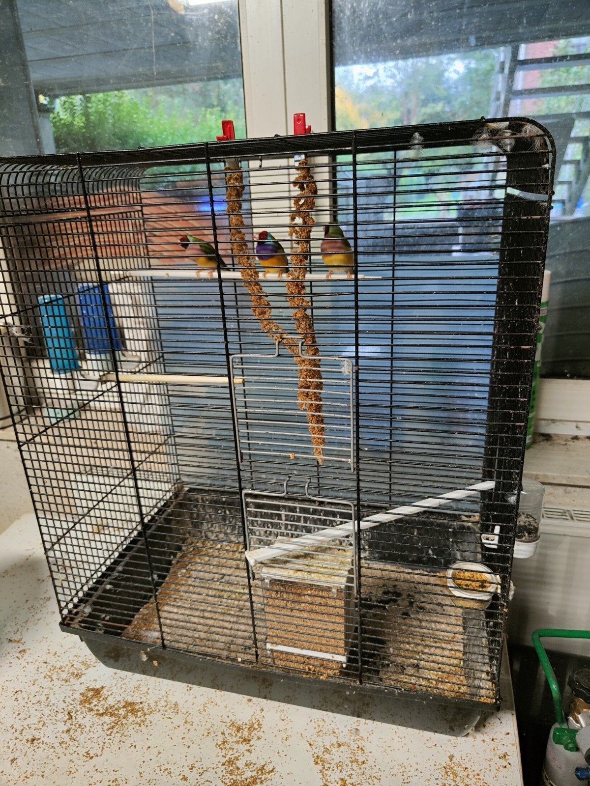 Lot de 3 cages oiseaux, Dieren en Toebehoren, Ophalen, Gebruikt, Metaal, Vogelkooi