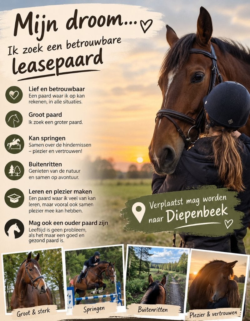 Paard gezocht