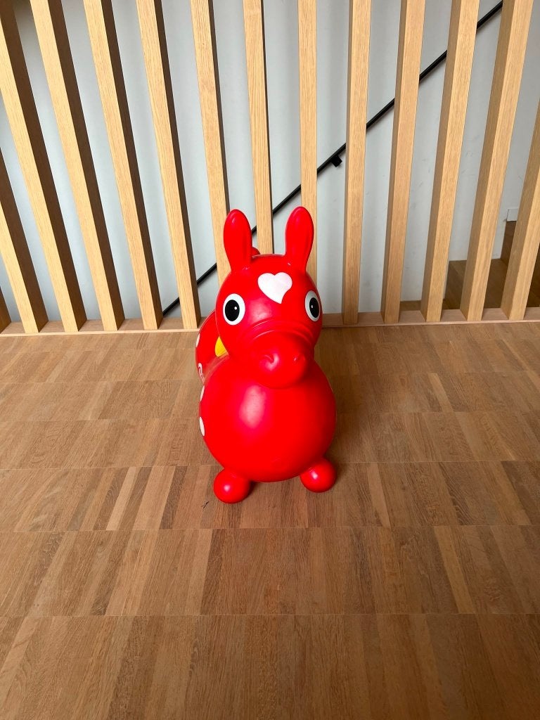 springpony, rody, de pony, Kinderen en Baby's, Ophalen, Gebruikt