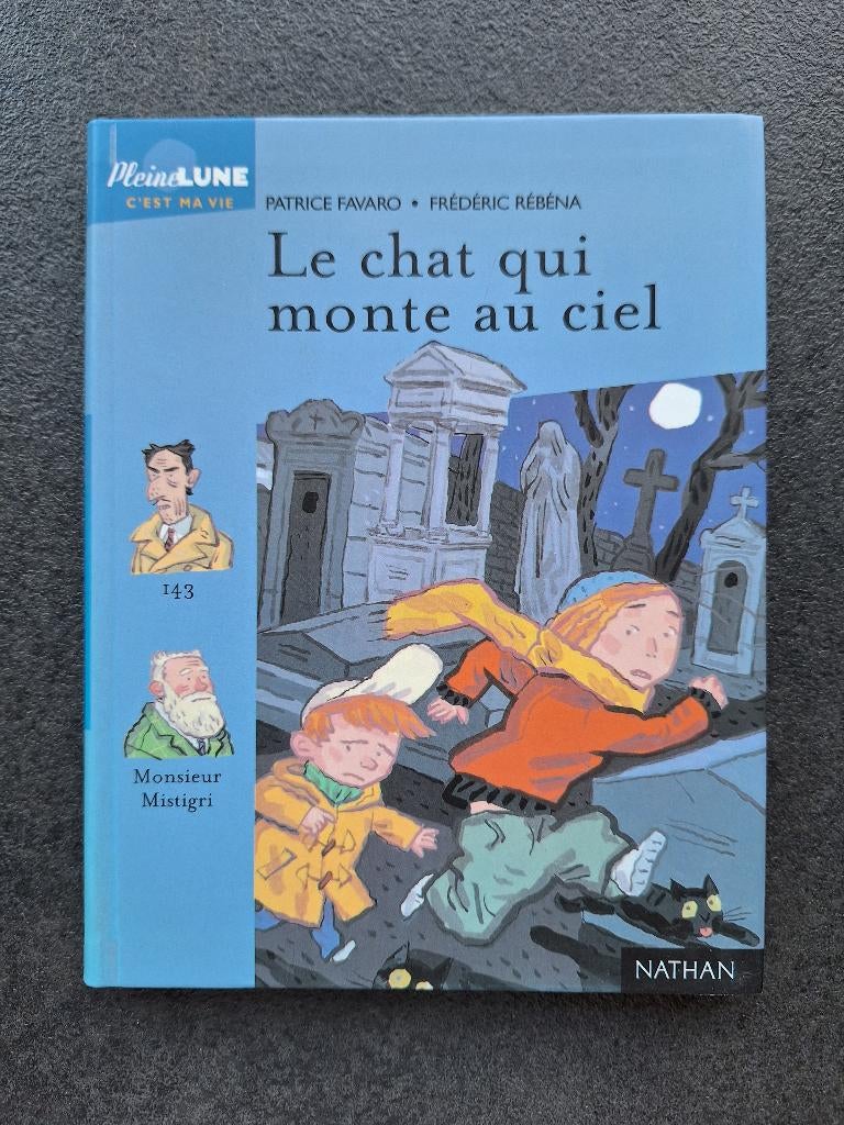 Le chat qui monte au ciel - Nathan (10-11ans), Neuf, Fiction, Editions NATHAN, Enlèvement