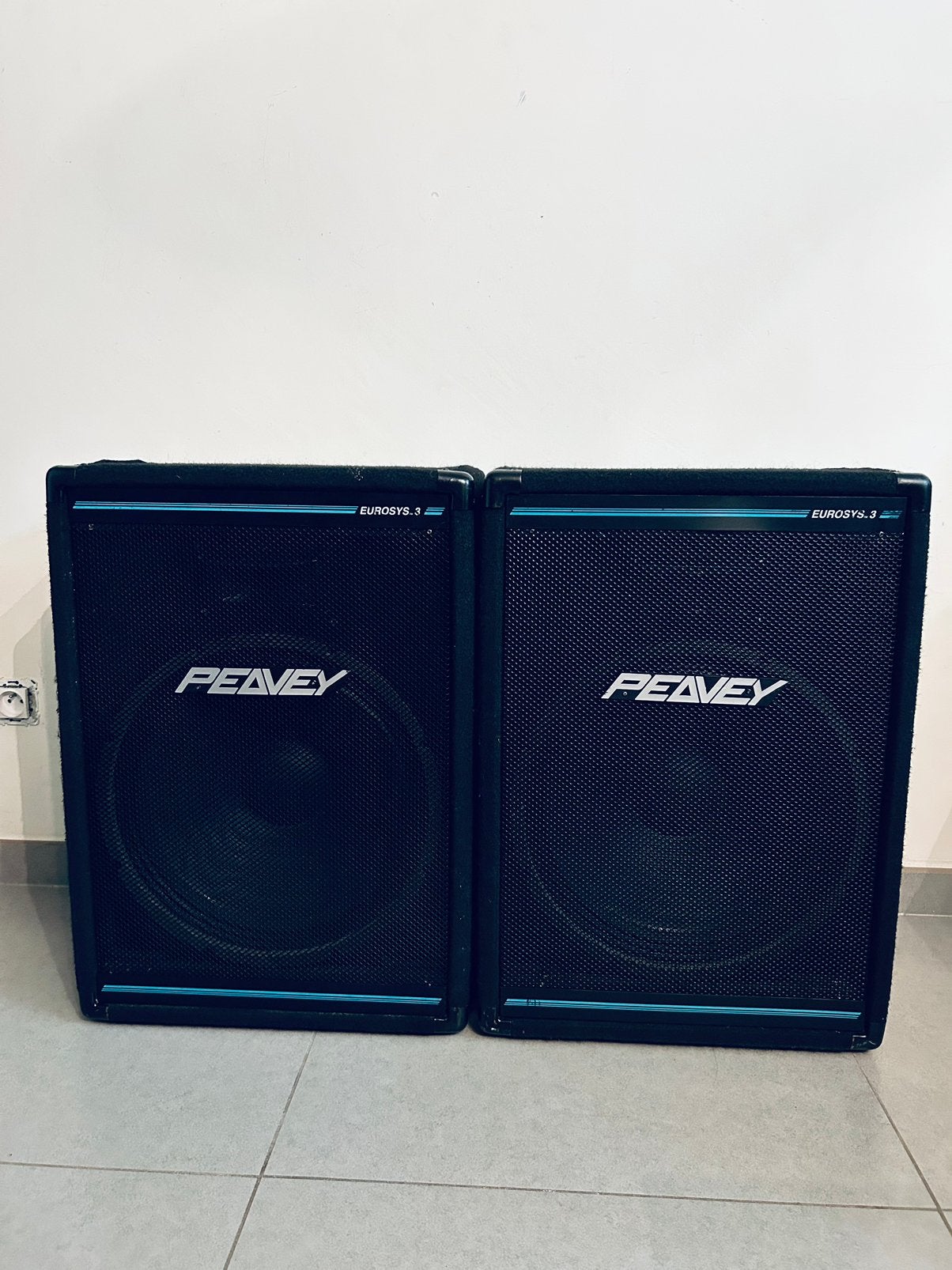 2 Peavey EuroSys-luidsprekers, Audio, Tv en Foto, Luidsprekerboxen, Ophalen, Zo goed als nieuw