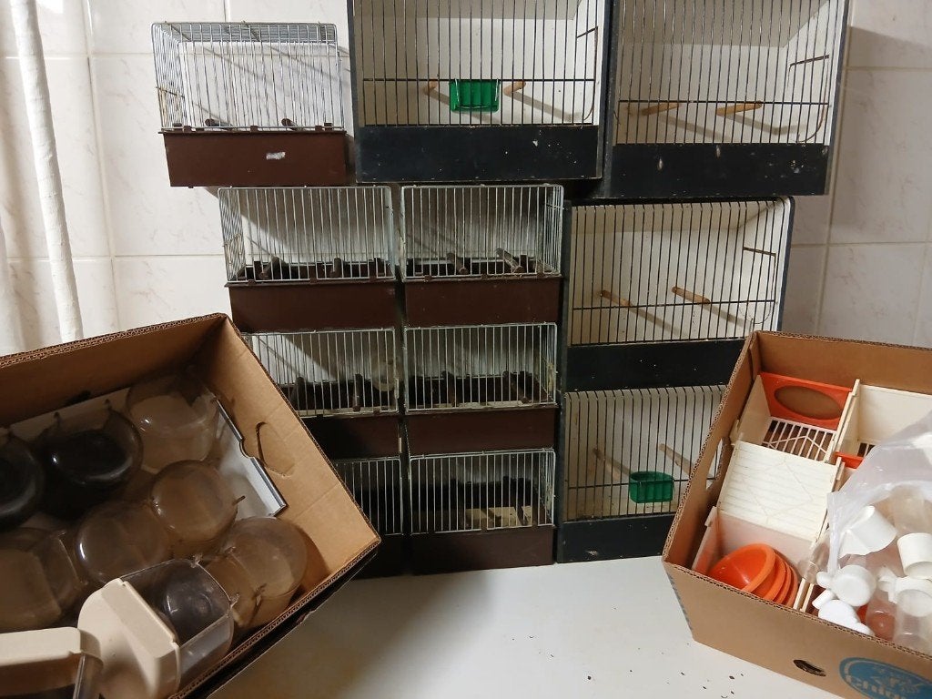 Cages et accessoires pour oiseaux, Enlèvement, Comme neuf