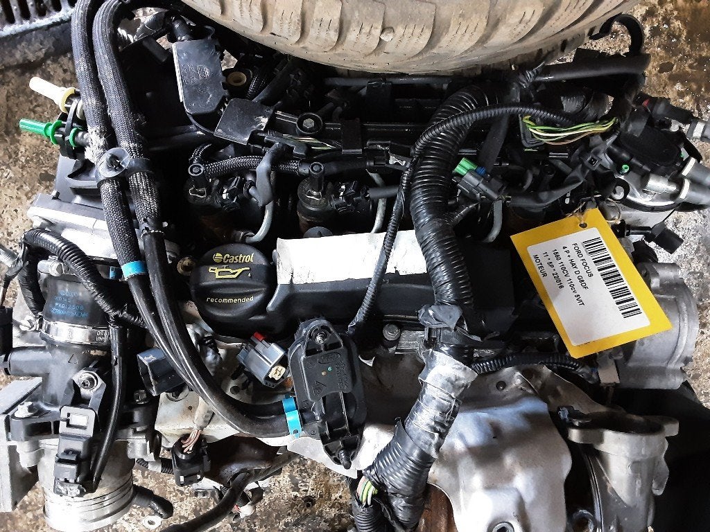 MOTEUR Ford Focus 2 (01-2004/09-2012) (9M5Q6007BB1306771), Utilisé, Ford