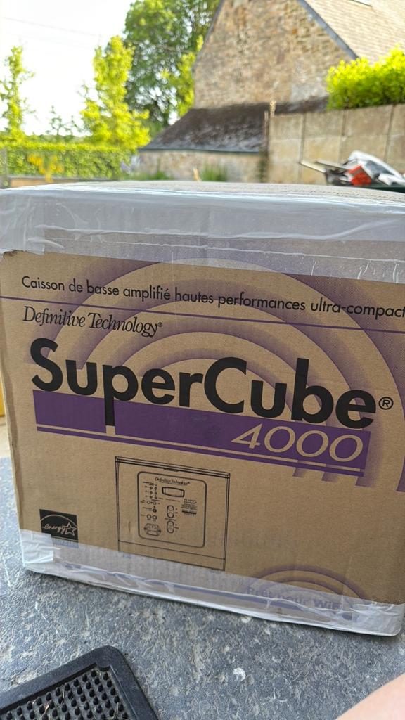 Definitive Technology SuperCube 4000 — subwoofer, Audio, Tv en Foto, Luidsprekerboxen, Ophalen, Zo goed als nieuw, Subwoofer