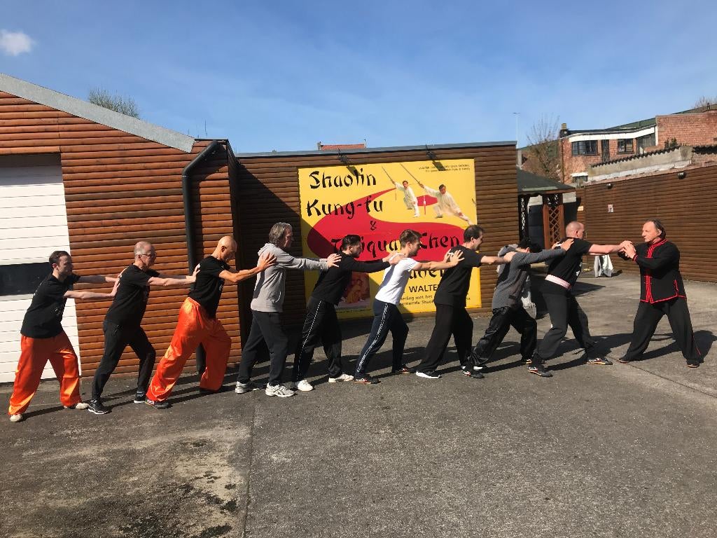 Qi Dynamics levensenergie, Sport en Fitness, Ophalen, Nieuw, Kung-Fu