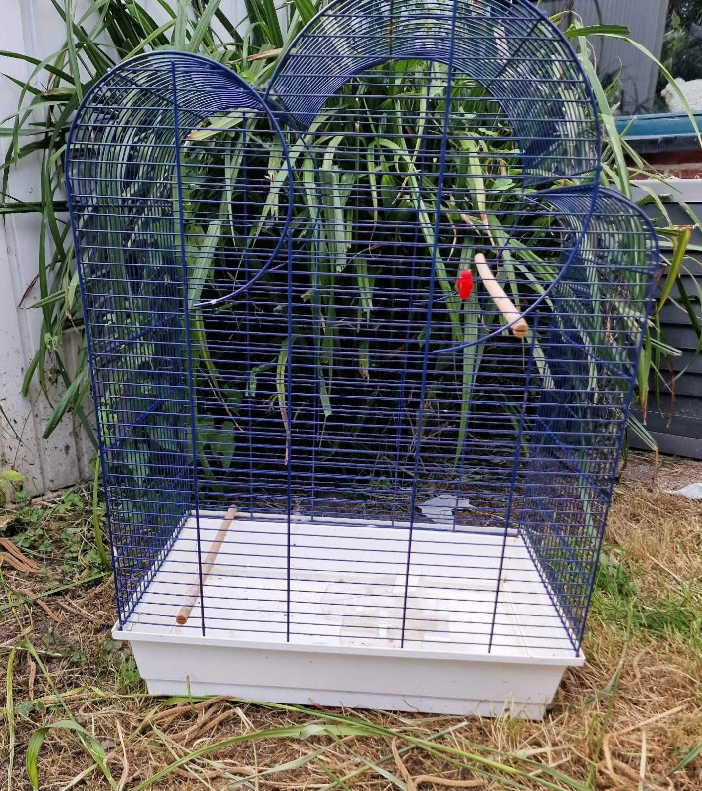 Cage à oiseaux, Animaux & Accessoires, Enlèvement, Cage à oiseaux