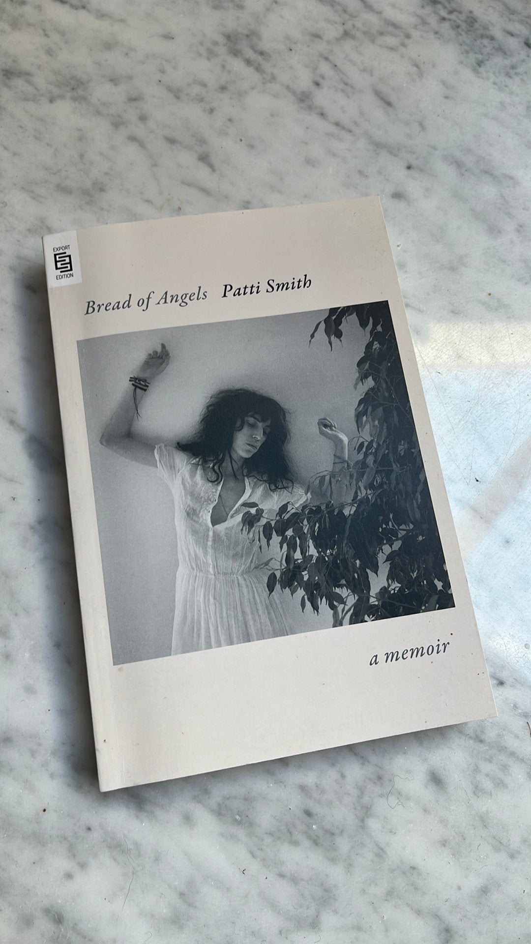 Bread of angels, a memoir.  Patti Smith 2025, Boeken, Ophalen of Verzenden, Nieuw, Artiest