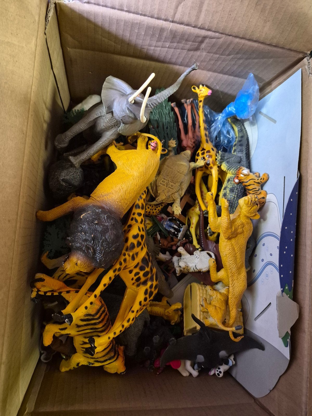 doos vol dieren, Enlèvement ou Envoi