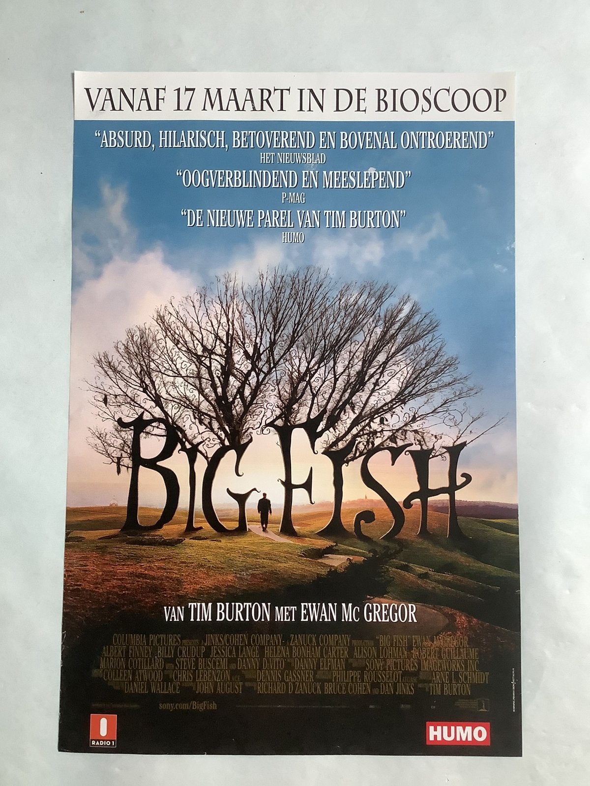 BIG FISH    filmposter    33-50 cm, Verzamelen, Posters, Ophalen, Zo goed als nieuw