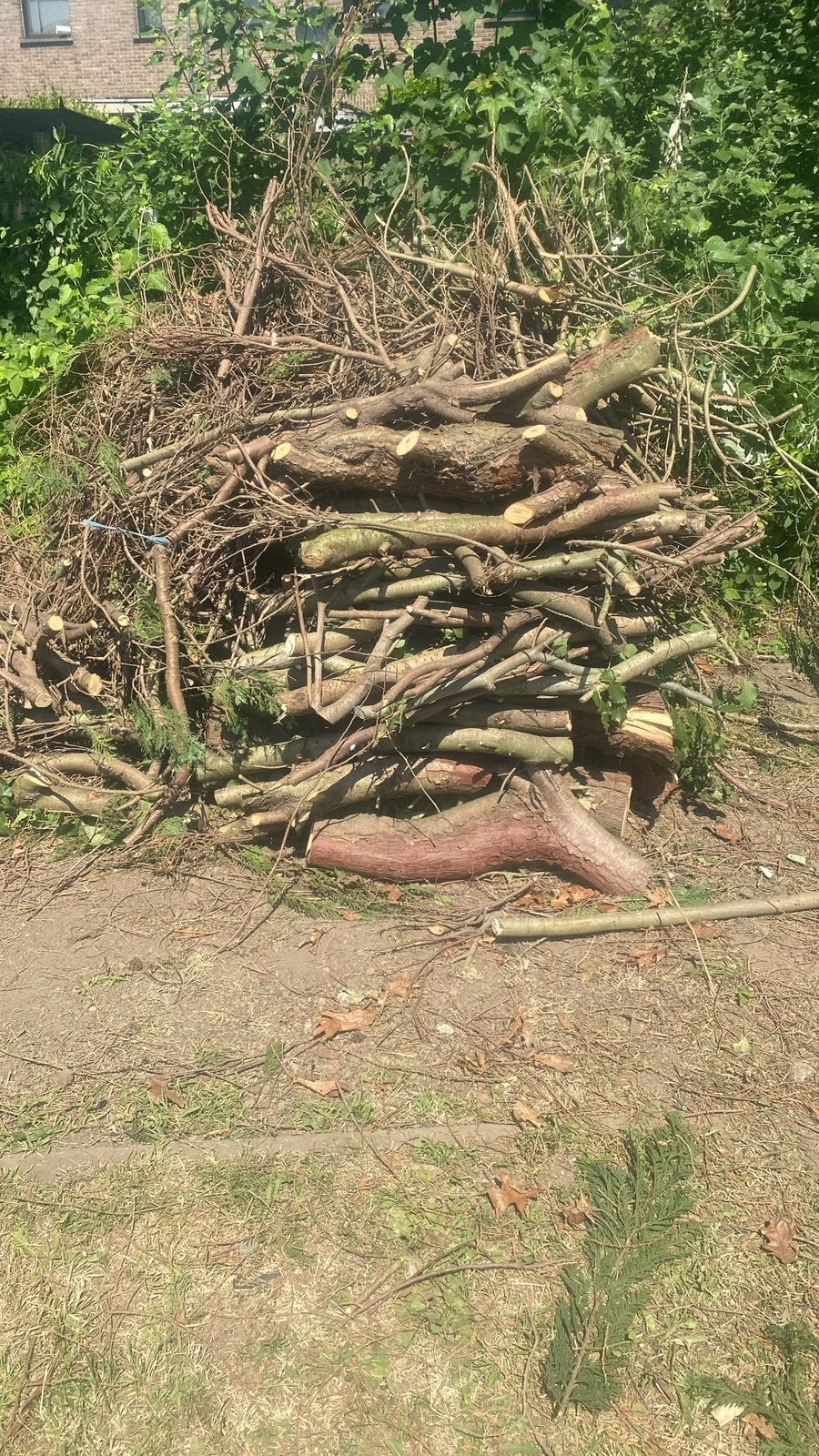Gratis / Partij snoeihout en brandhout af te halen, Tuin en Terras, Ophalen