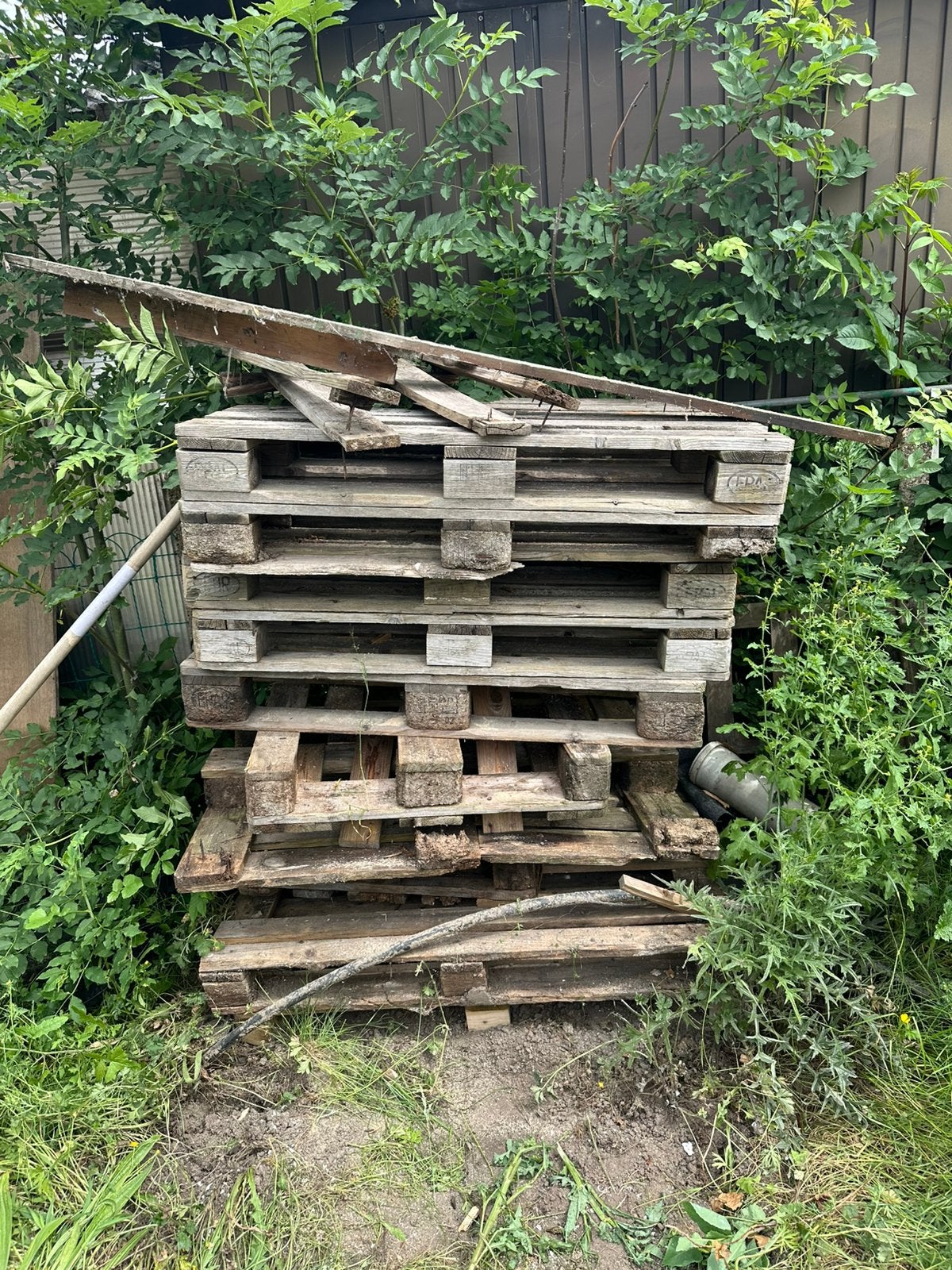 Hout brandhout pallet gratis, Enlèvement, Utilisé, Planche