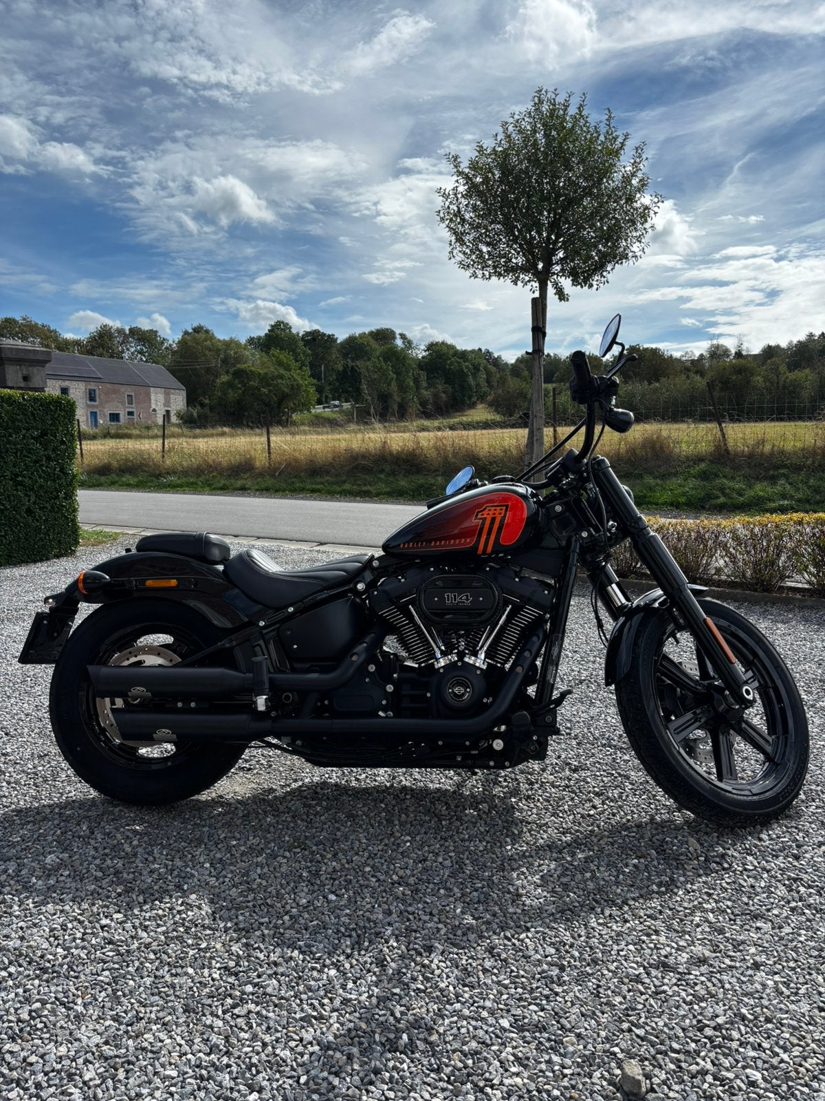 Harley-davidson street bob 114, Motos, ABS, Permis Moto A, Occasion, Chopper