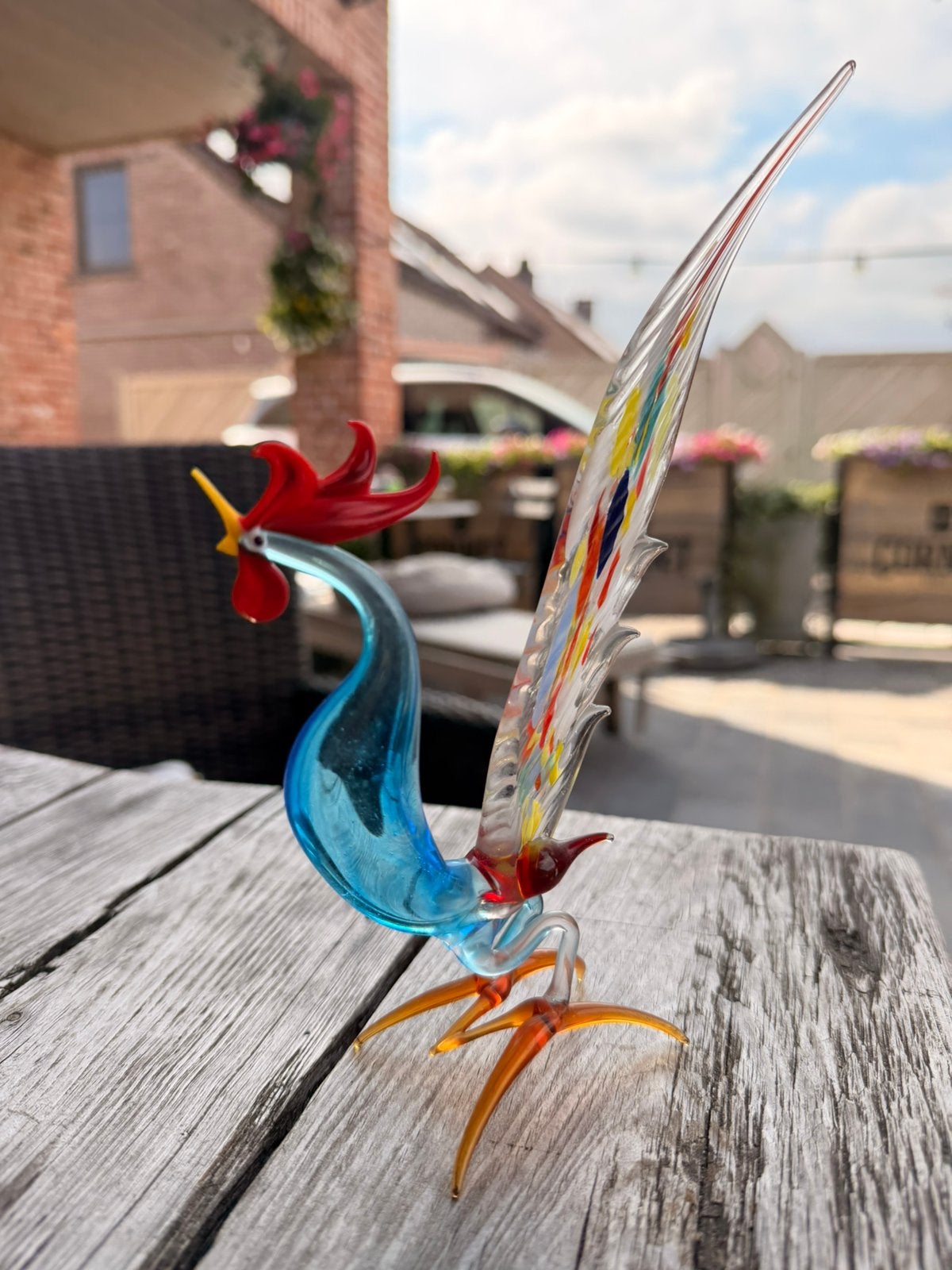 Murano haan, Ophalen