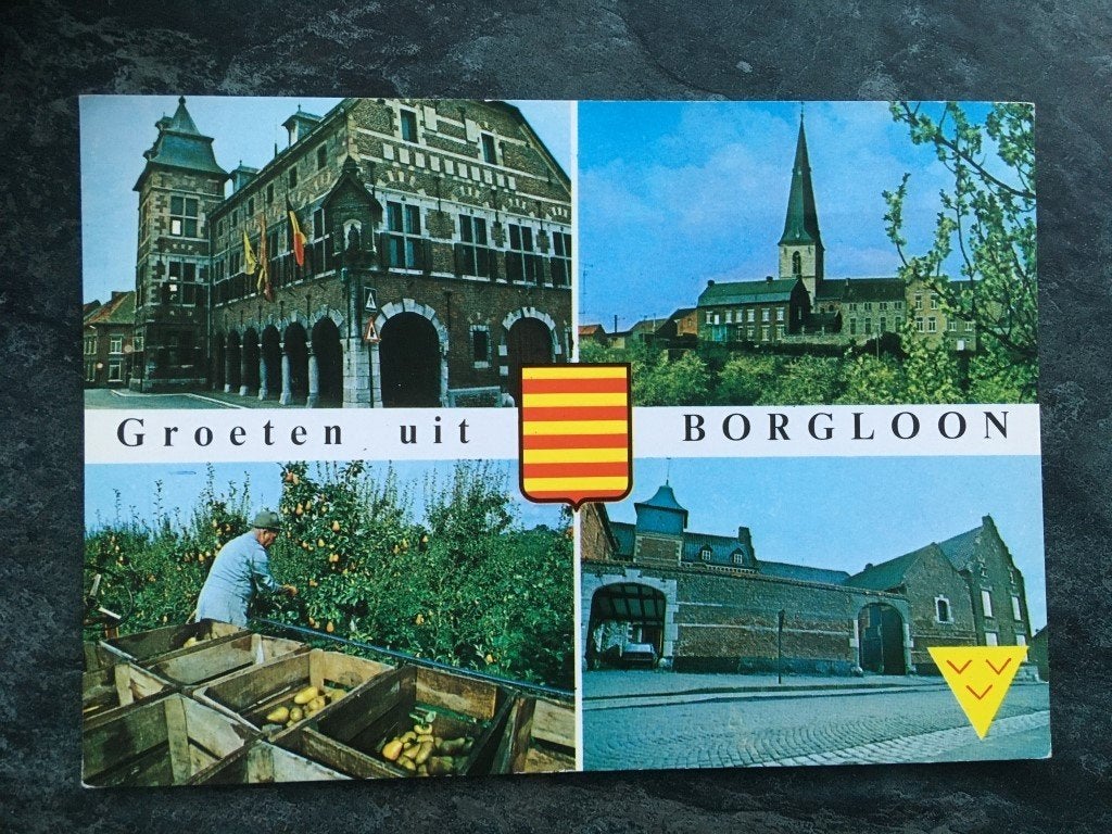 carte postale Borgloon, Enlèvement ou Envoi, Limbourg