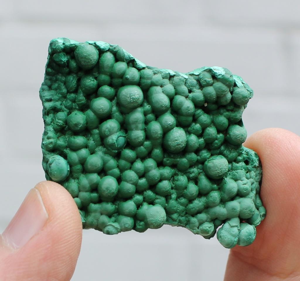 MALACHITE botryoïdale de KOLWEZI au CONGO, Enlèvement ou Envoi, Minéral