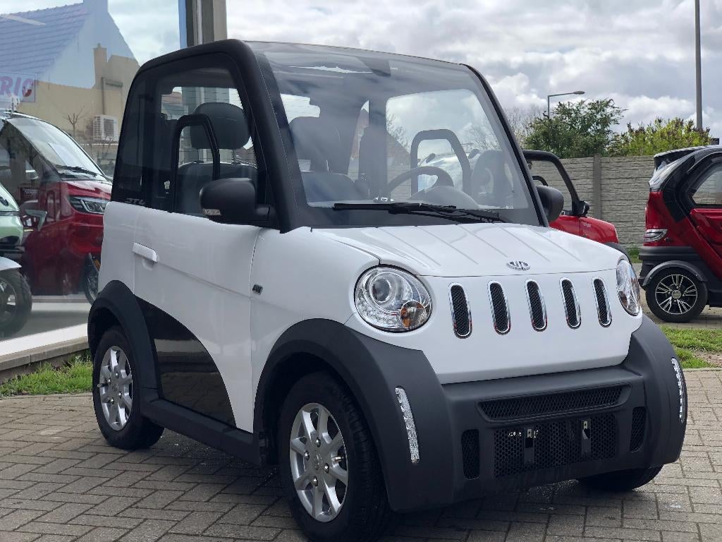 Zonder (auto) rijbewijs, Autos, Achat, Entreprise, 2 places, Automatique