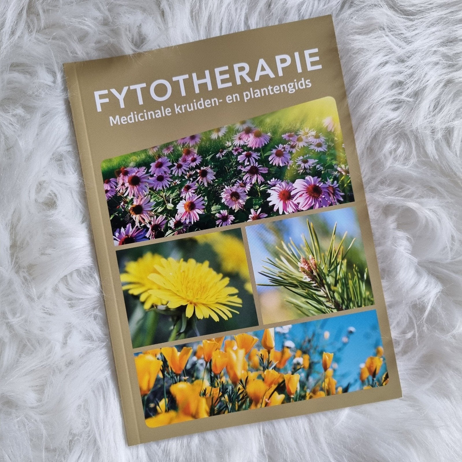Fytotherapie Medicinale kruiden- en plantengids- nieuw!, Enlèvement ou Envoi, Neuf, Plantes et Alternatives