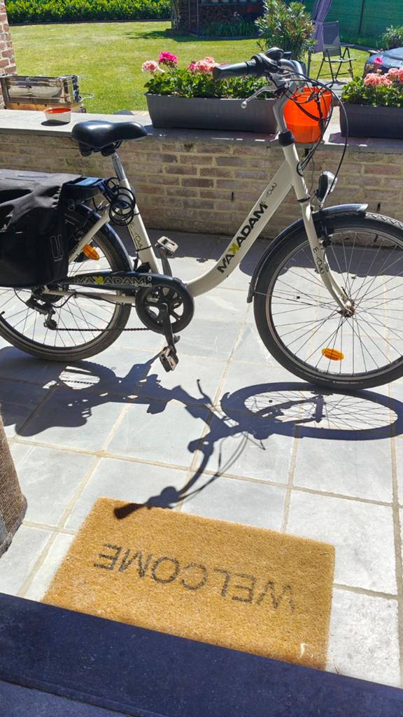 Electrische damesfiets, Enlèvement, Utilisé, Autres marques, Électrique