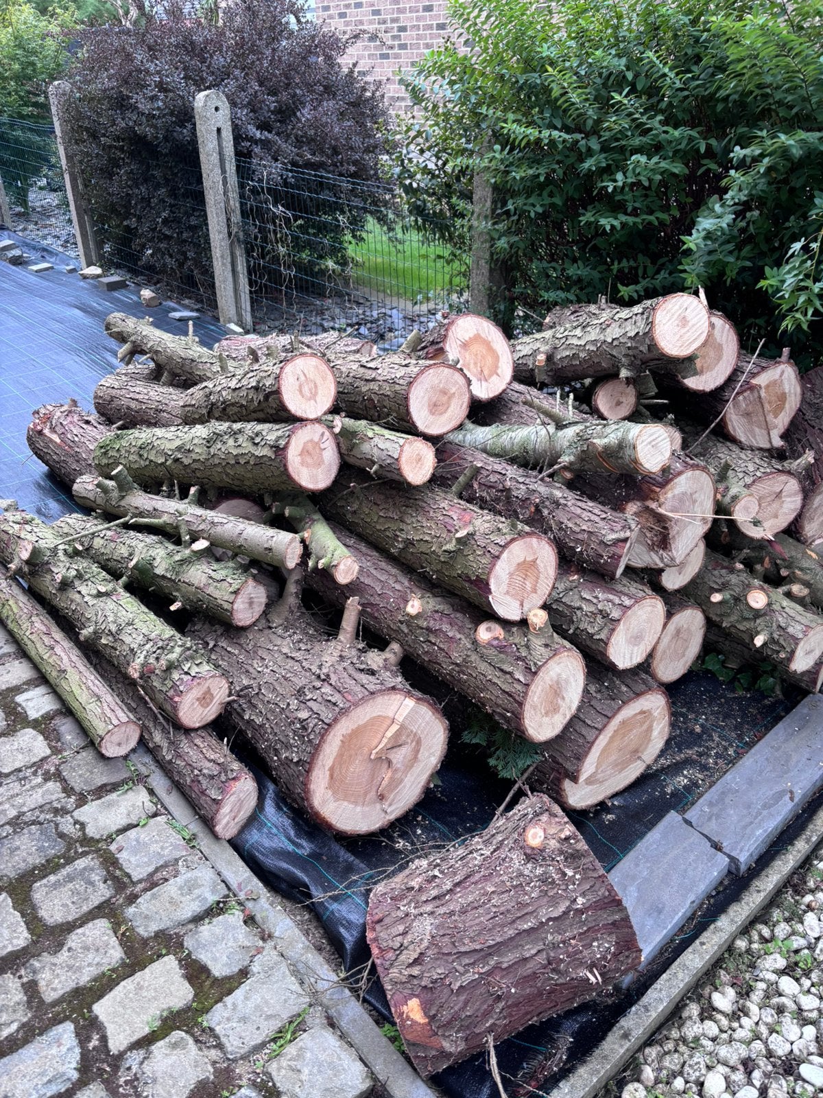 Bois de sapin a vendre, Jardin & Terrasse, Moins de 3 m³, Enlèvement, Autres essences de bois, Troncs d'arbres
