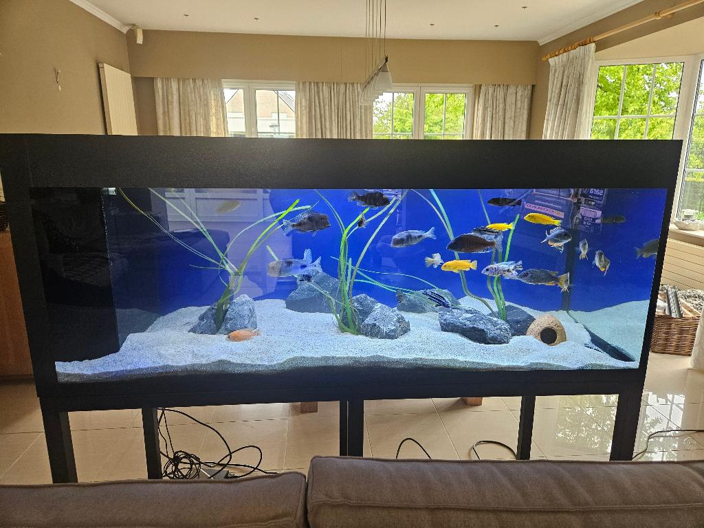 Aquarium te koop in zeer goede staat !, Enlèvement, Comme neuf, Meuble d'aquarium