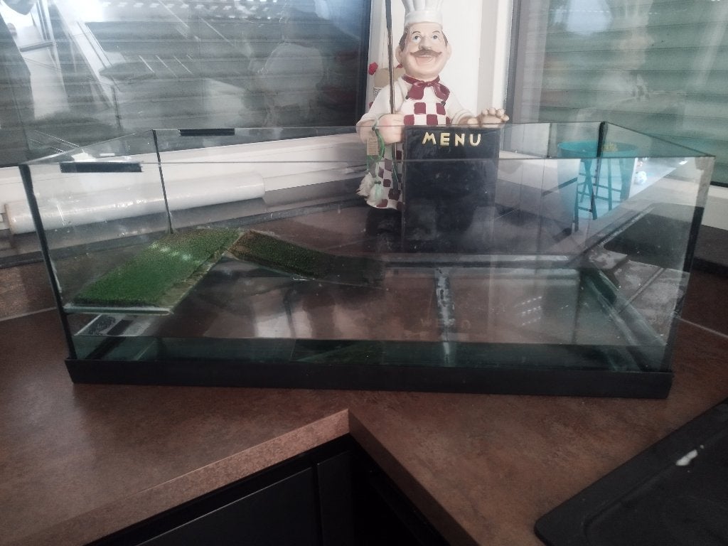 Aquarium/terrarium, Enlèvement, Utilisé, Terrarium ou Paludarium