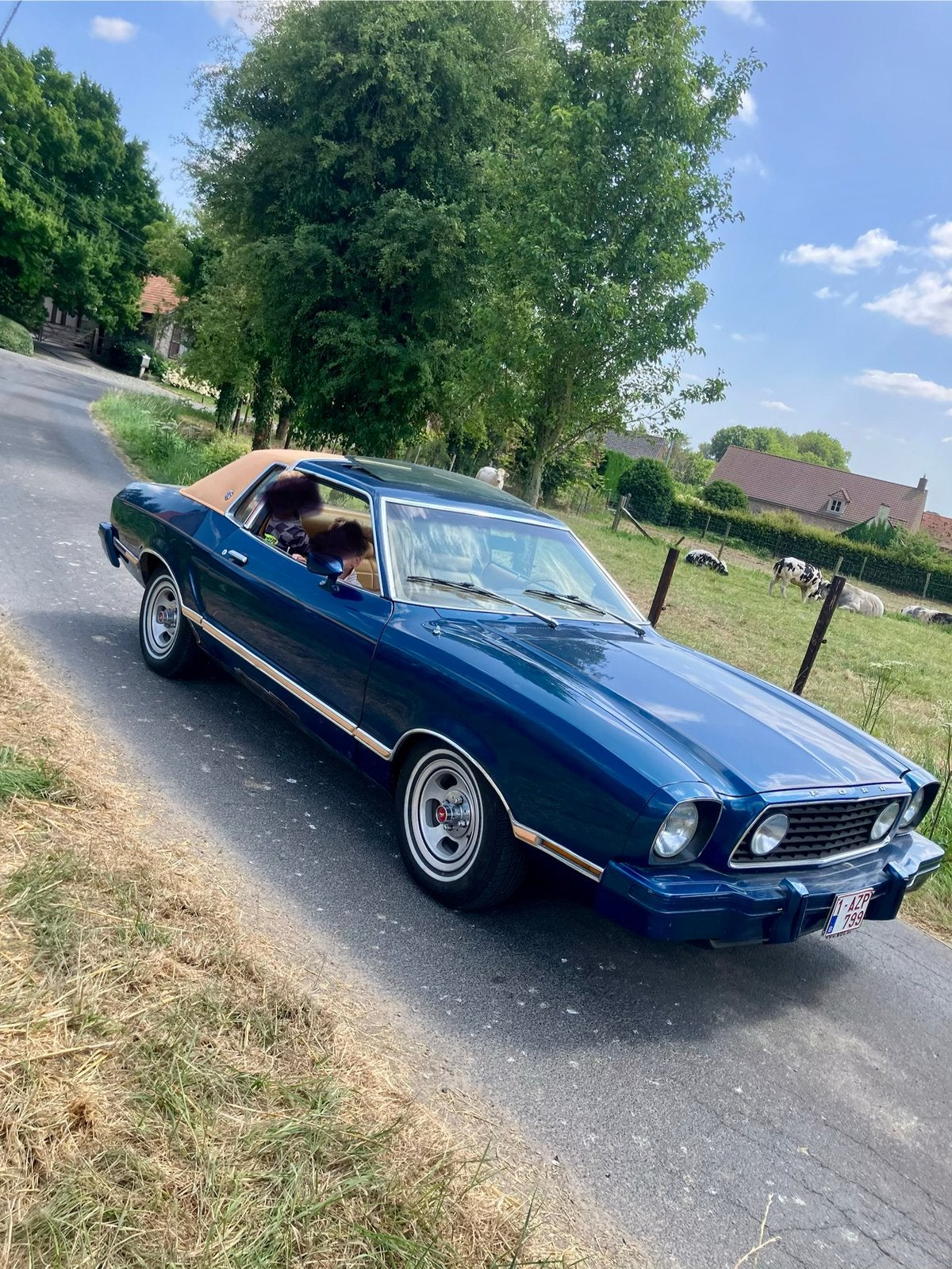Ford mustang, Auto's, Particulier, Te koop, Ford