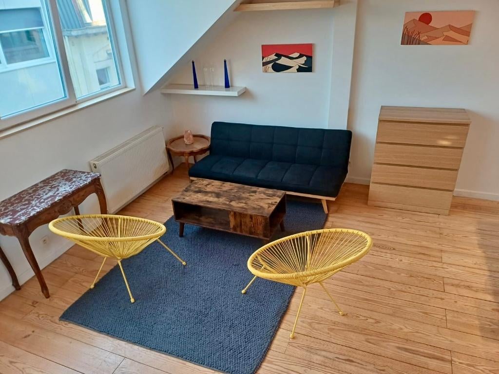 Appart 2 chambres Bruxelles-centre dispo le 1er avril, 50 m² ou plus, Bruxelles