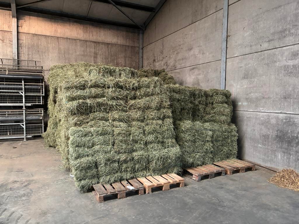 Verse kleine balen hooi 2026 te koop