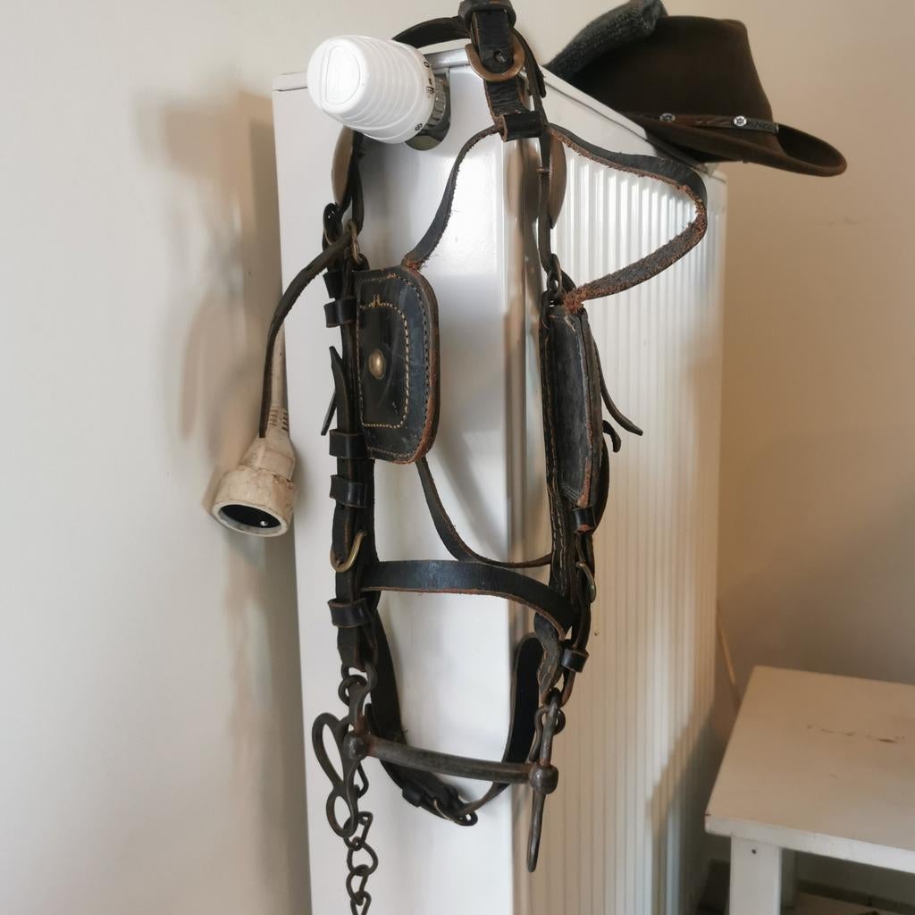 Bride d'attelage pour poneys Shetlan., Animaux & Accessoires, Enlèvement ou Envoi