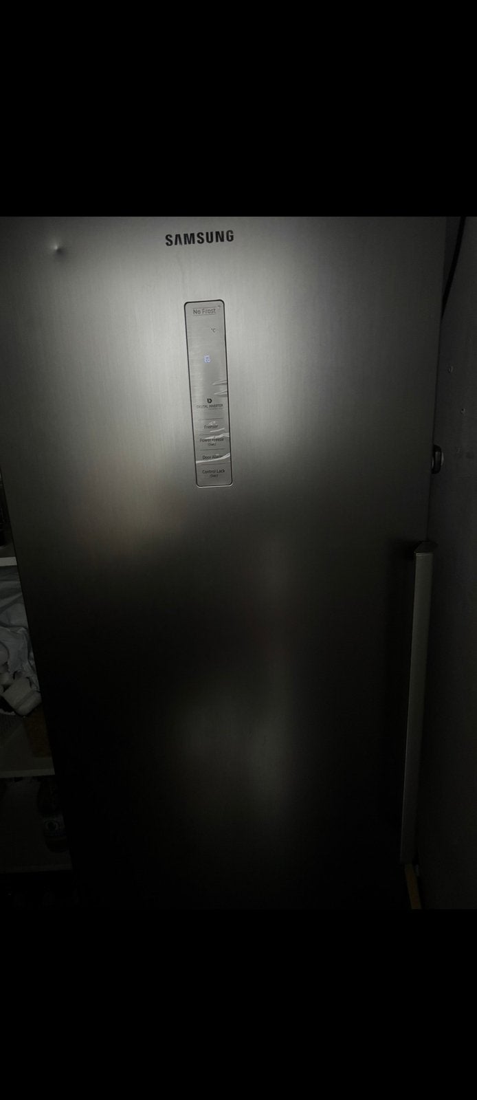 Samsung No Frost diepvriezer (RVS), Electroménager, Congélateurs, Enlèvement, Utilisé, Autoportant, Congélateur