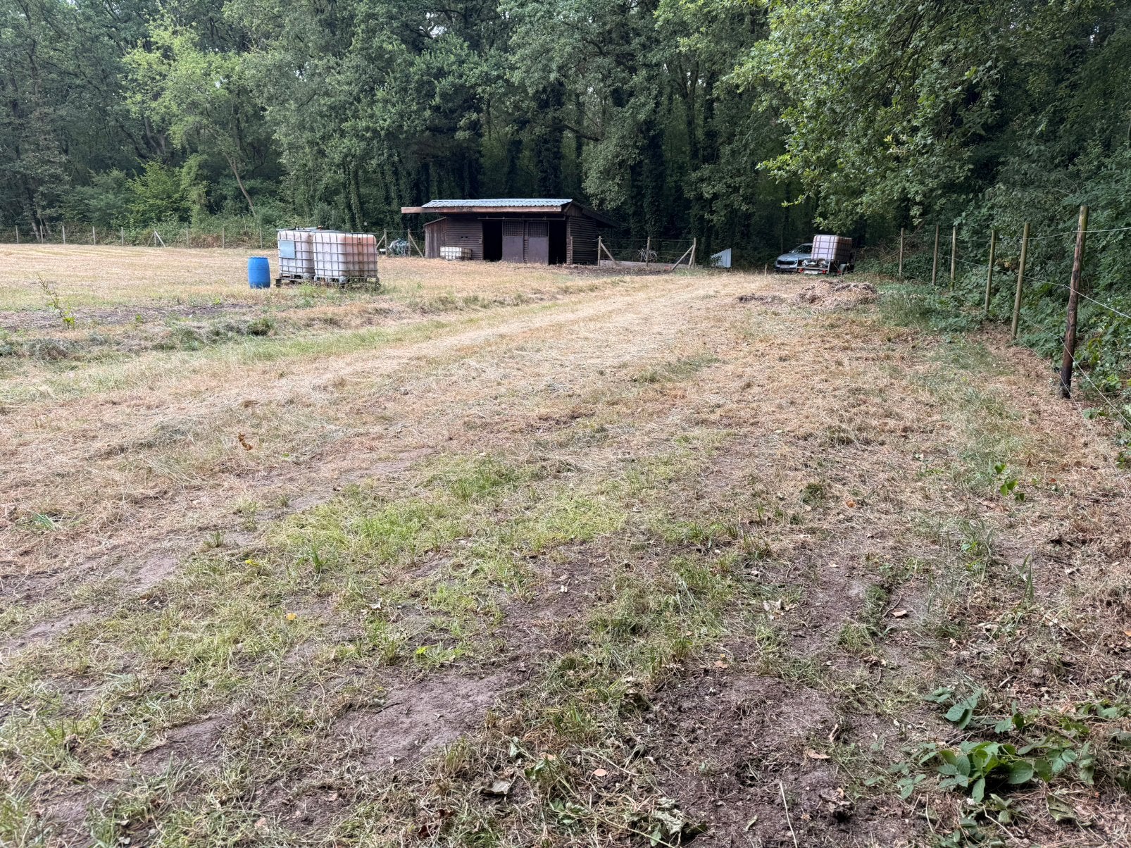 Paardenwei , weiland en bos, Dieren en Toebehoren, Weidegang