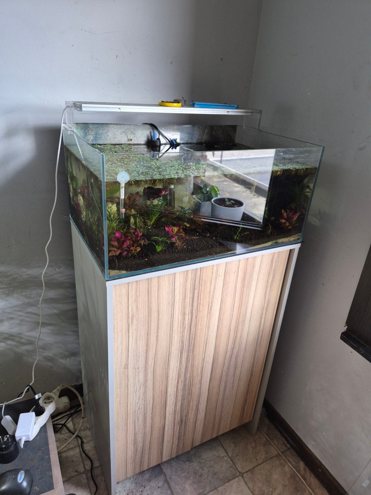 superfish scaper 70 volledige set, Ophalen, Filter, Superfish