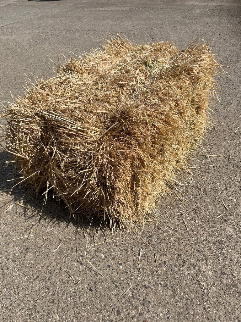 Hooi kleine balen, Dieren en Toebehoren, Dierenvoeding, Ophalen, Vee
